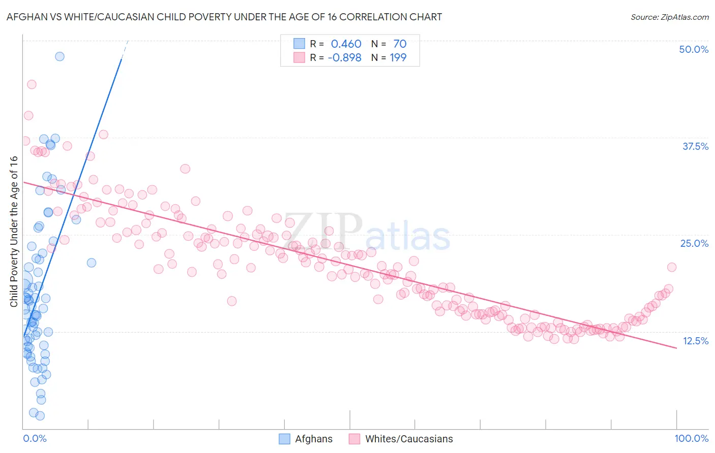 Afghan vs White/Caucasian Child Poverty Under the Age of 16