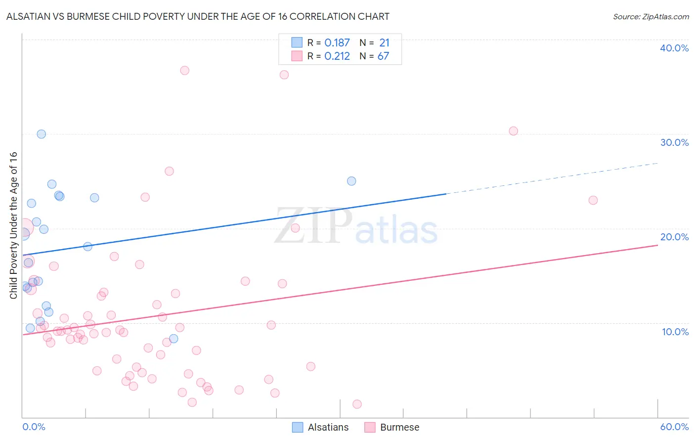 Alsatian vs Burmese Child Poverty Under the Age of 16