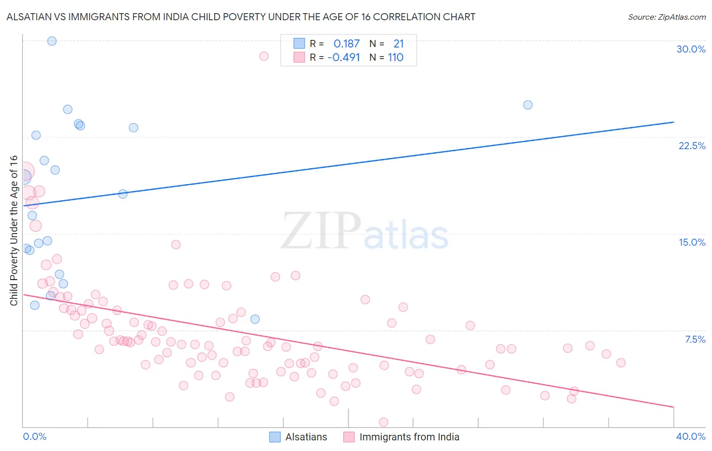 Alsatian vs Immigrants from India Child Poverty Under the Age of 16