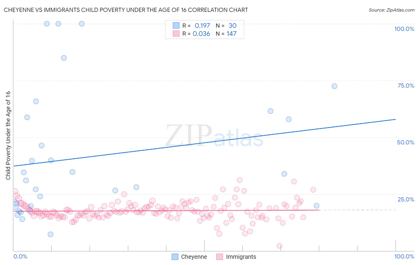 Cheyenne vs Immigrants Child Poverty Under the Age of 16