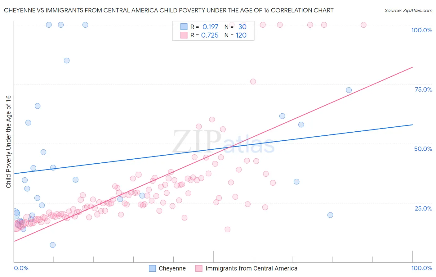 Cheyenne vs Immigrants from Central America Child Poverty Under the Age of 16