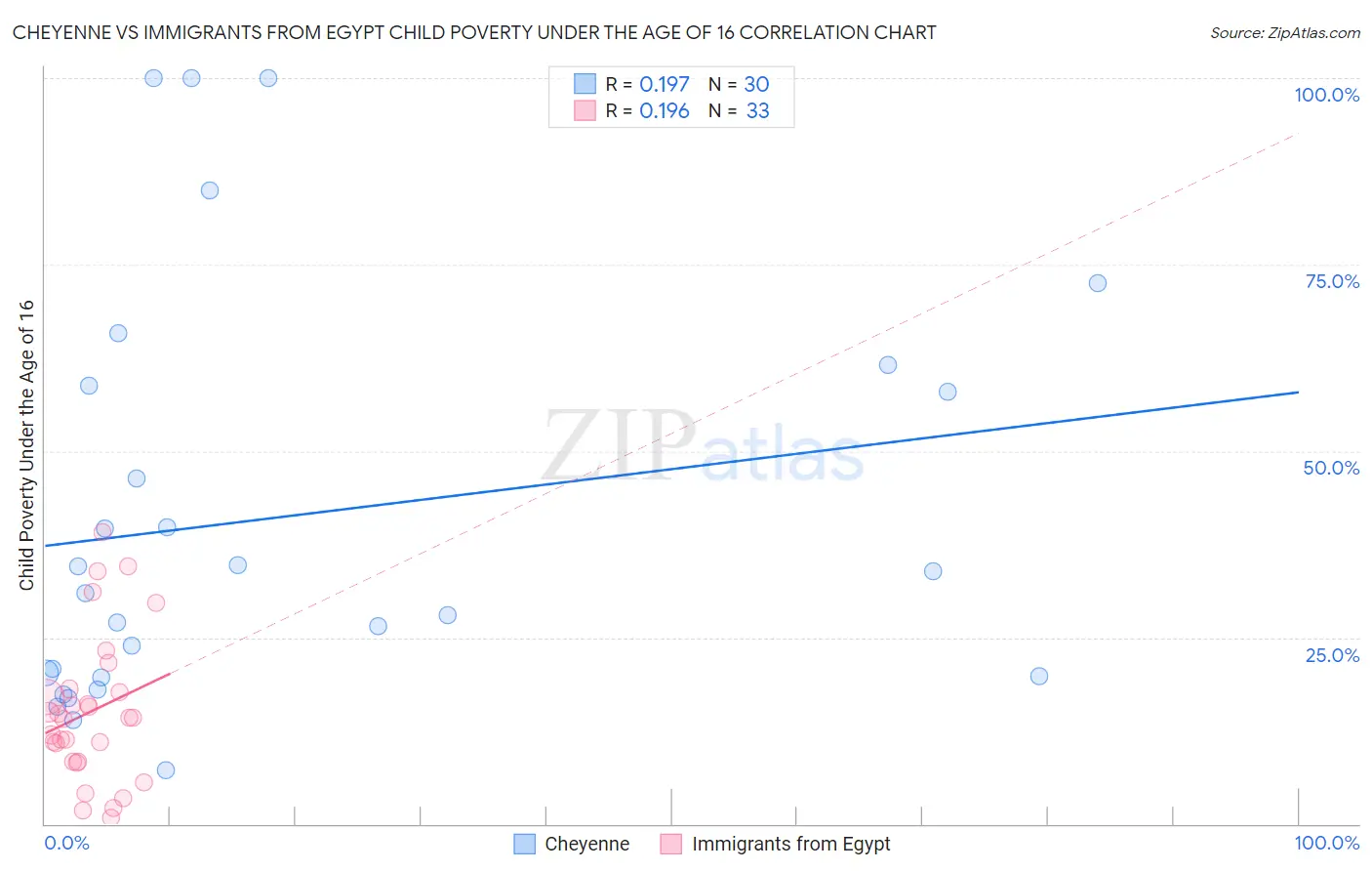 Cheyenne vs Immigrants from Egypt Child Poverty Under the Age of 16