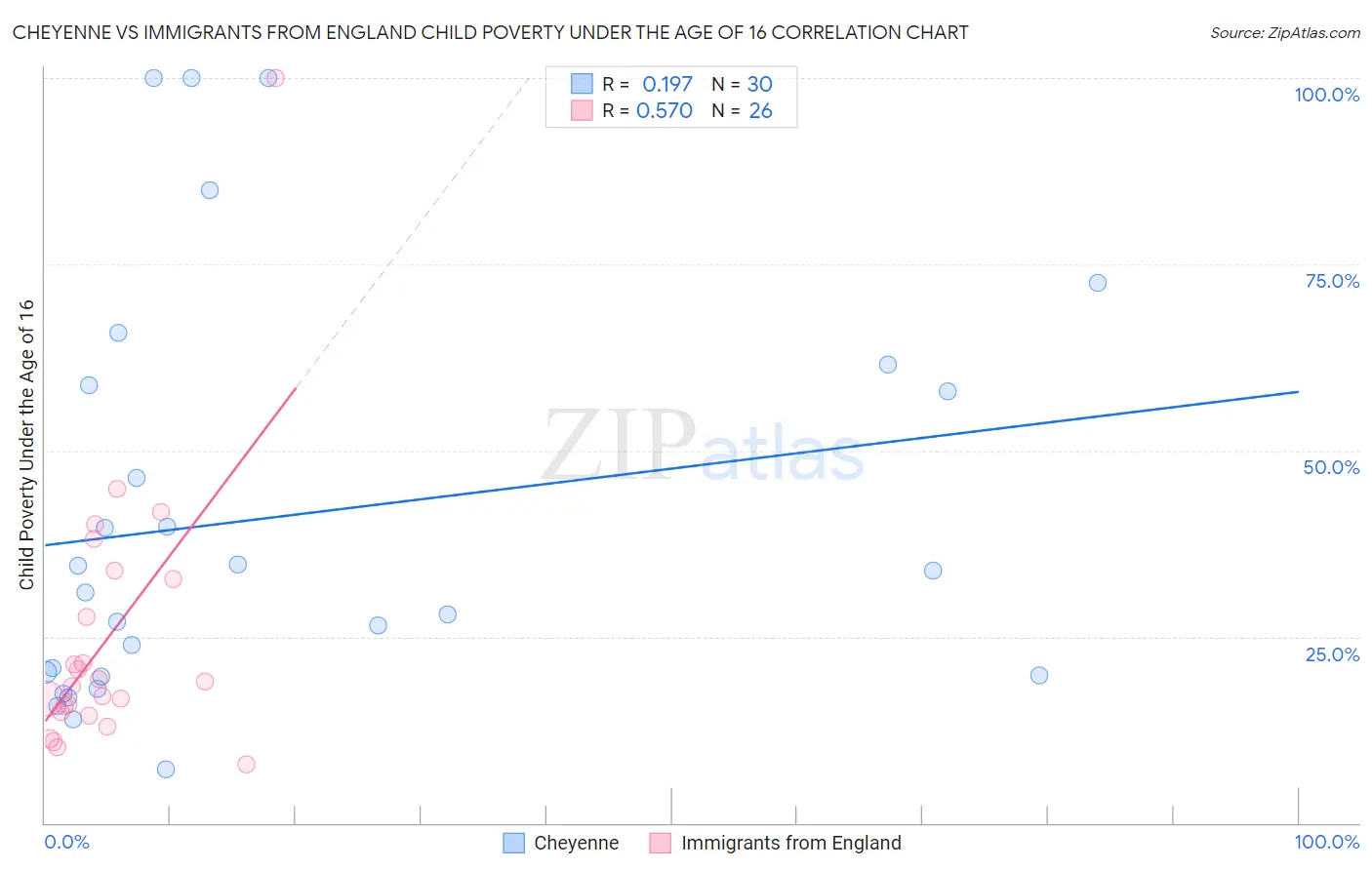 Cheyenne vs Immigrants from England Child Poverty Under the Age of 16