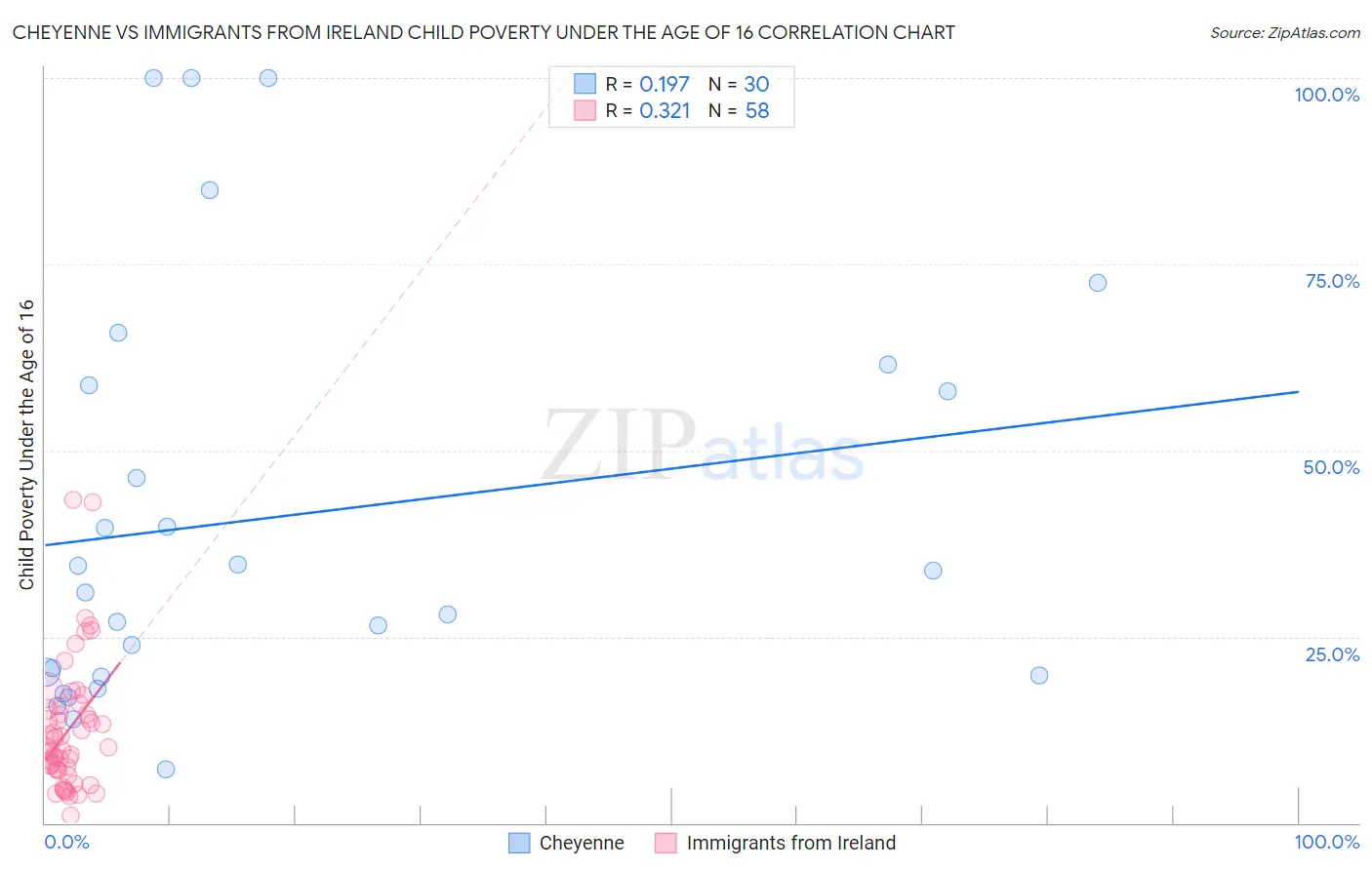 Cheyenne vs Immigrants from Ireland Child Poverty Under the Age of 16