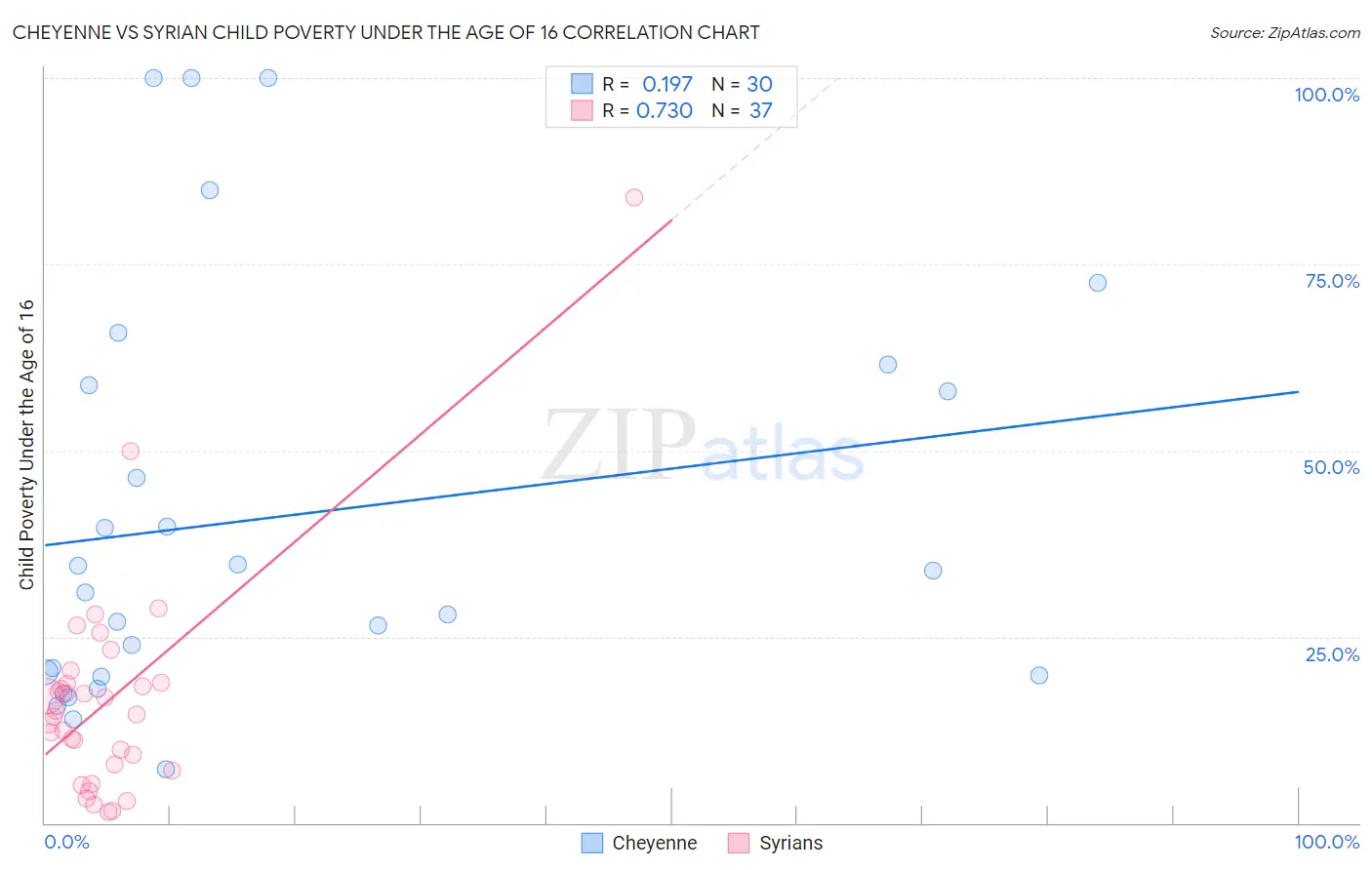 Cheyenne vs Syrian Child Poverty Under the Age of 16