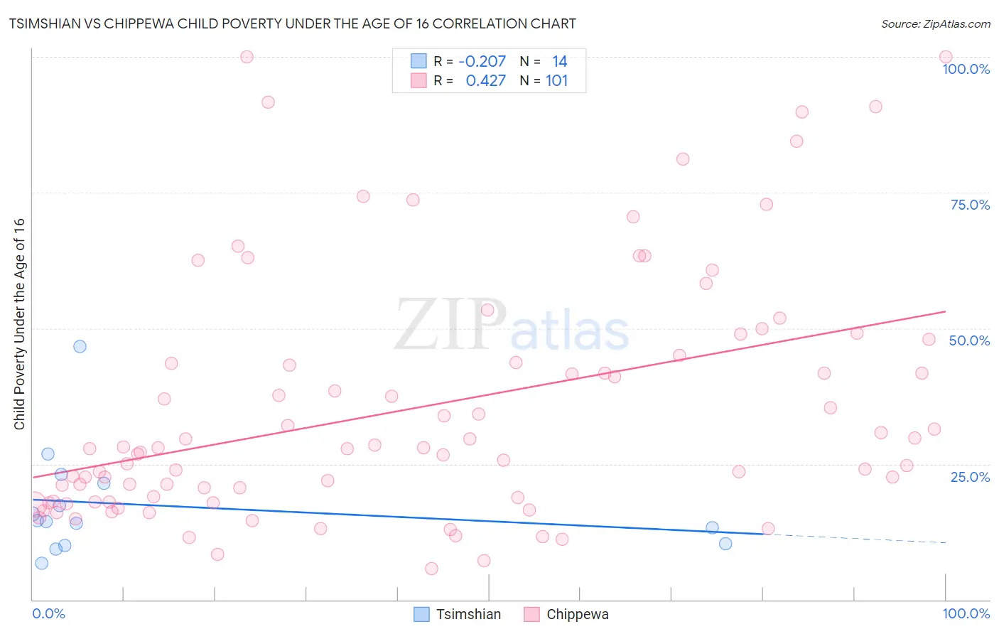 Tsimshian vs Chippewa Child Poverty Under the Age of 16