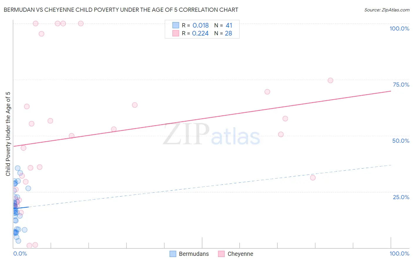 Bermudan vs Cheyenne Child Poverty Under the Age of 5