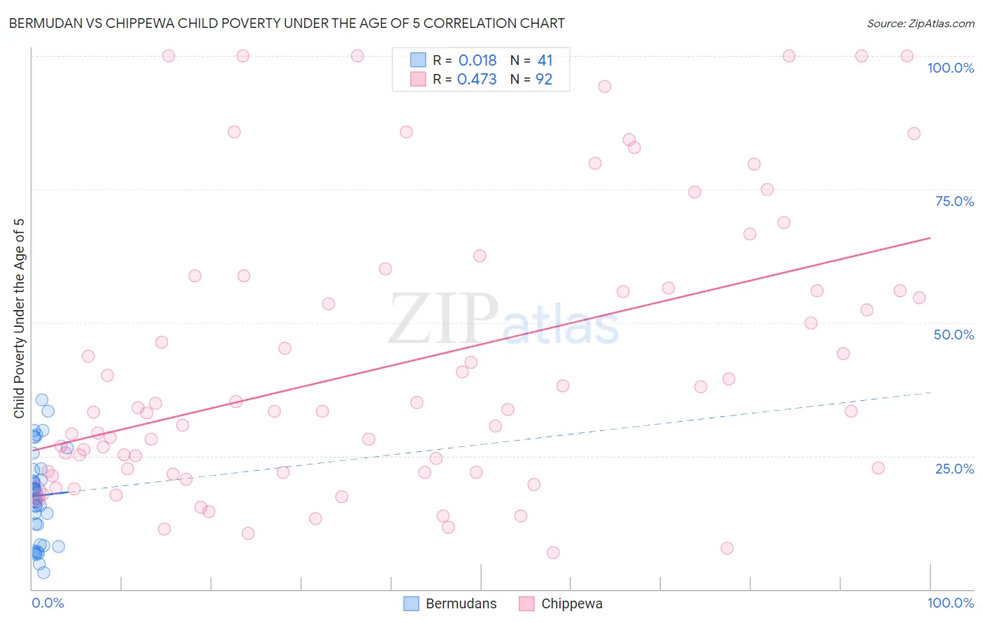 Bermudan vs Chippewa Child Poverty Under the Age of 5