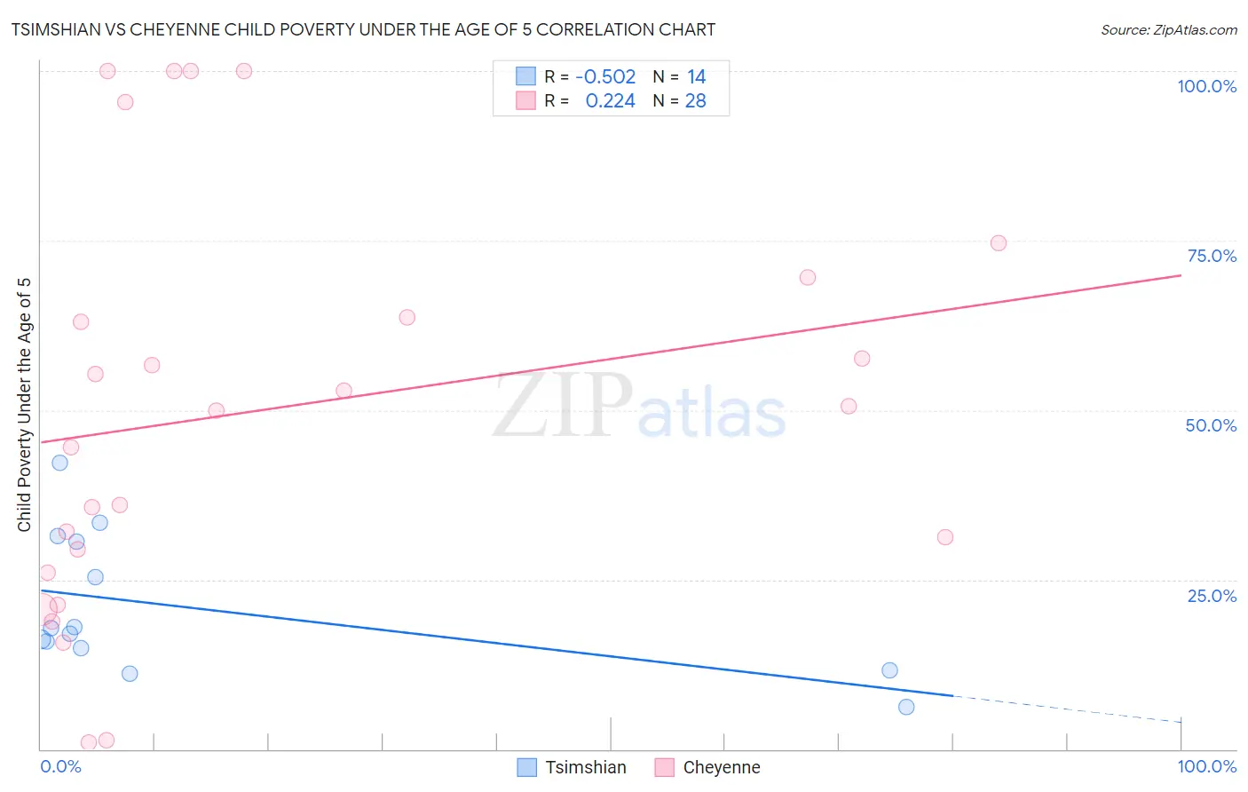 Tsimshian vs Cheyenne Child Poverty Under the Age of 5