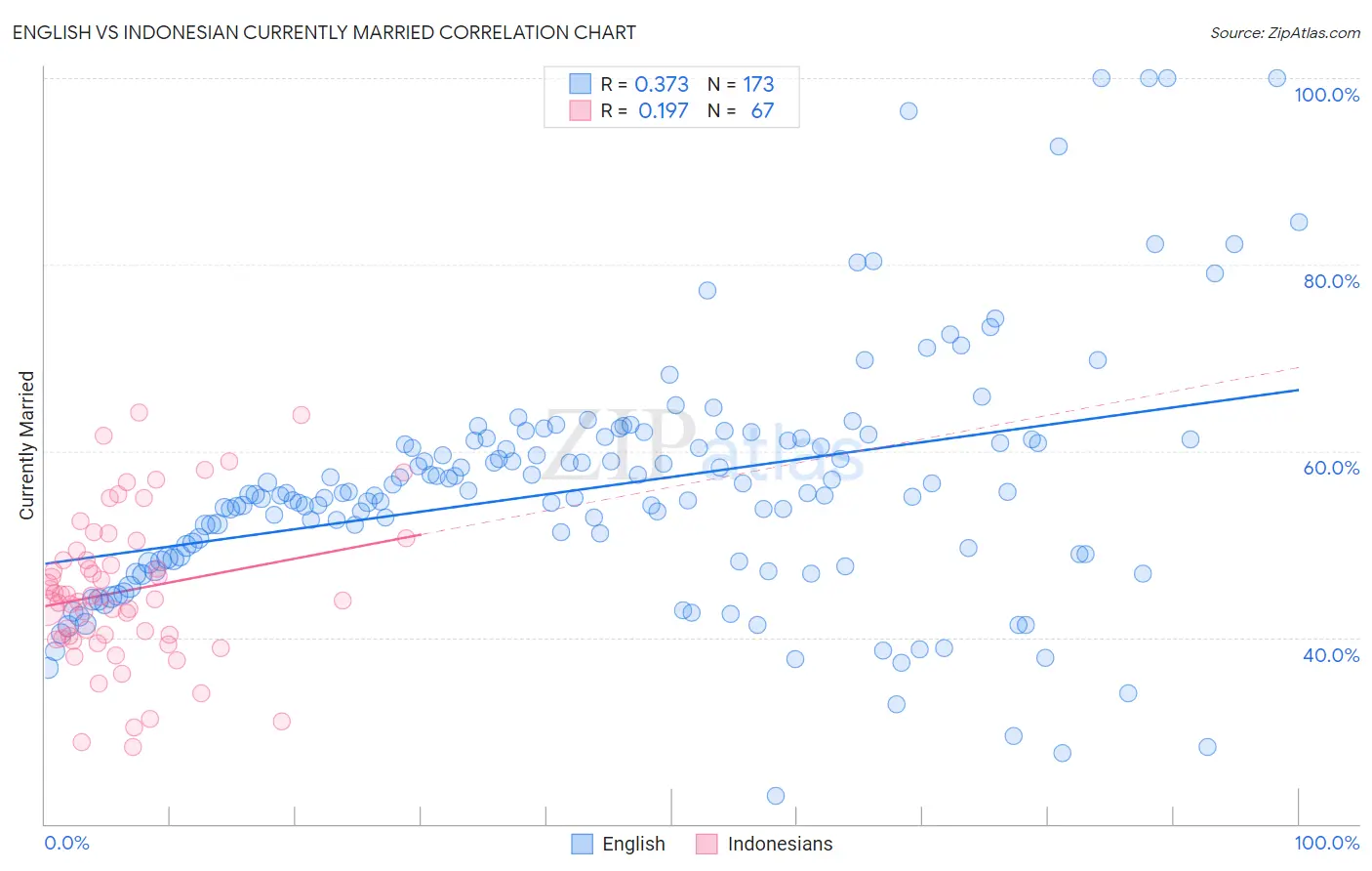 English vs Indonesian Currently Married