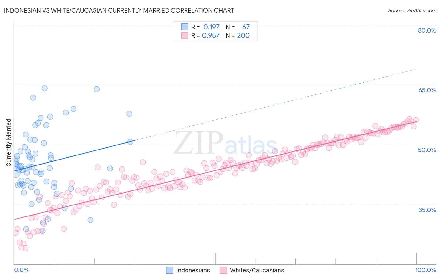 Indonesian vs White/Caucasian Currently Married