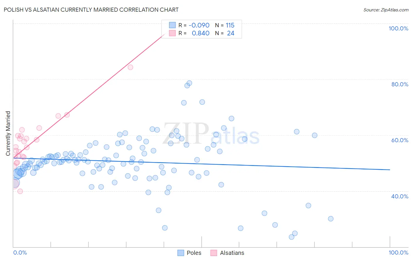 Polish vs Alsatian Currently Married