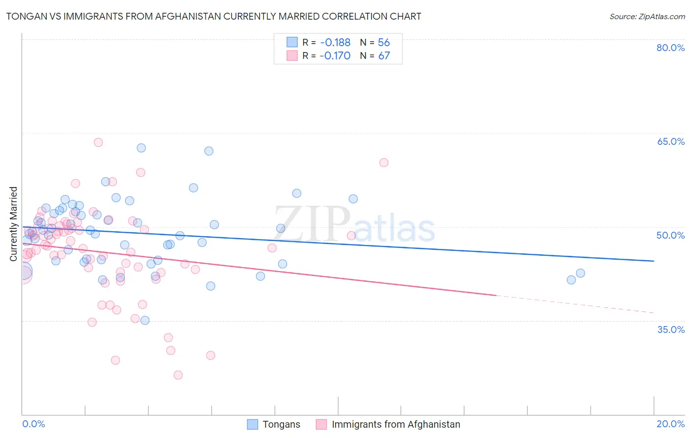 Tongan vs Immigrants from Afghanistan Currently Married