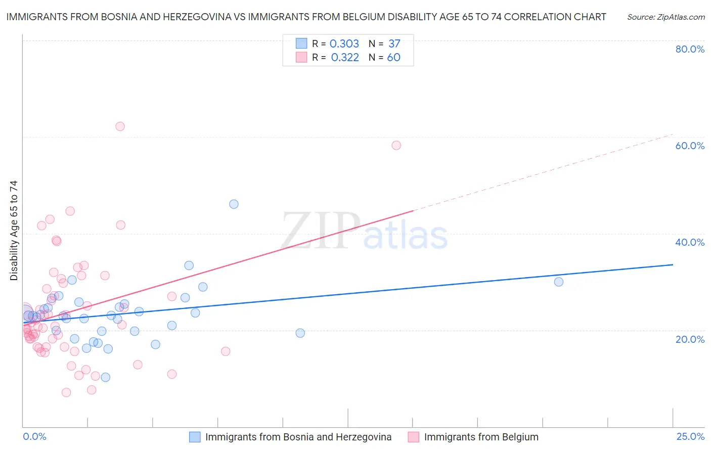 Immigrants from Bosnia and Herzegovina vs Immigrants from Belgium Disability Age 65 to 74