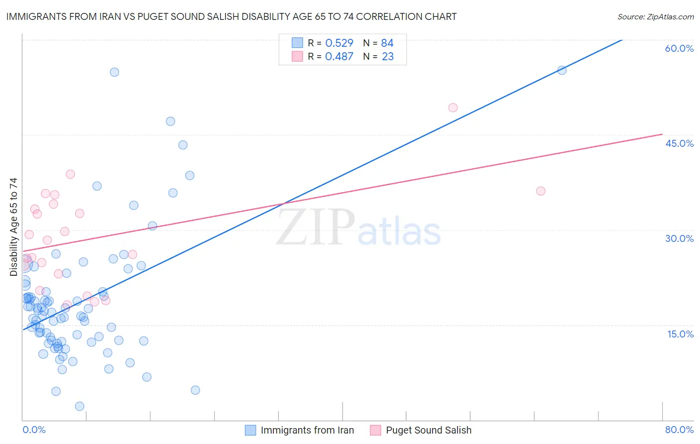 Immigrants from Iran vs Puget Sound Salish Disability Age 65 to 74