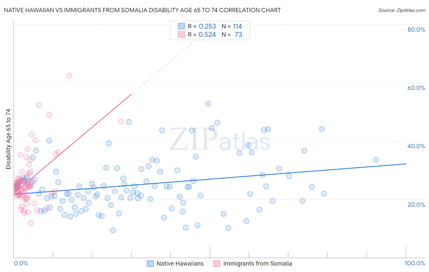 Native Hawaiian vs Immigrants from Somalia Disability Age 65 to 74