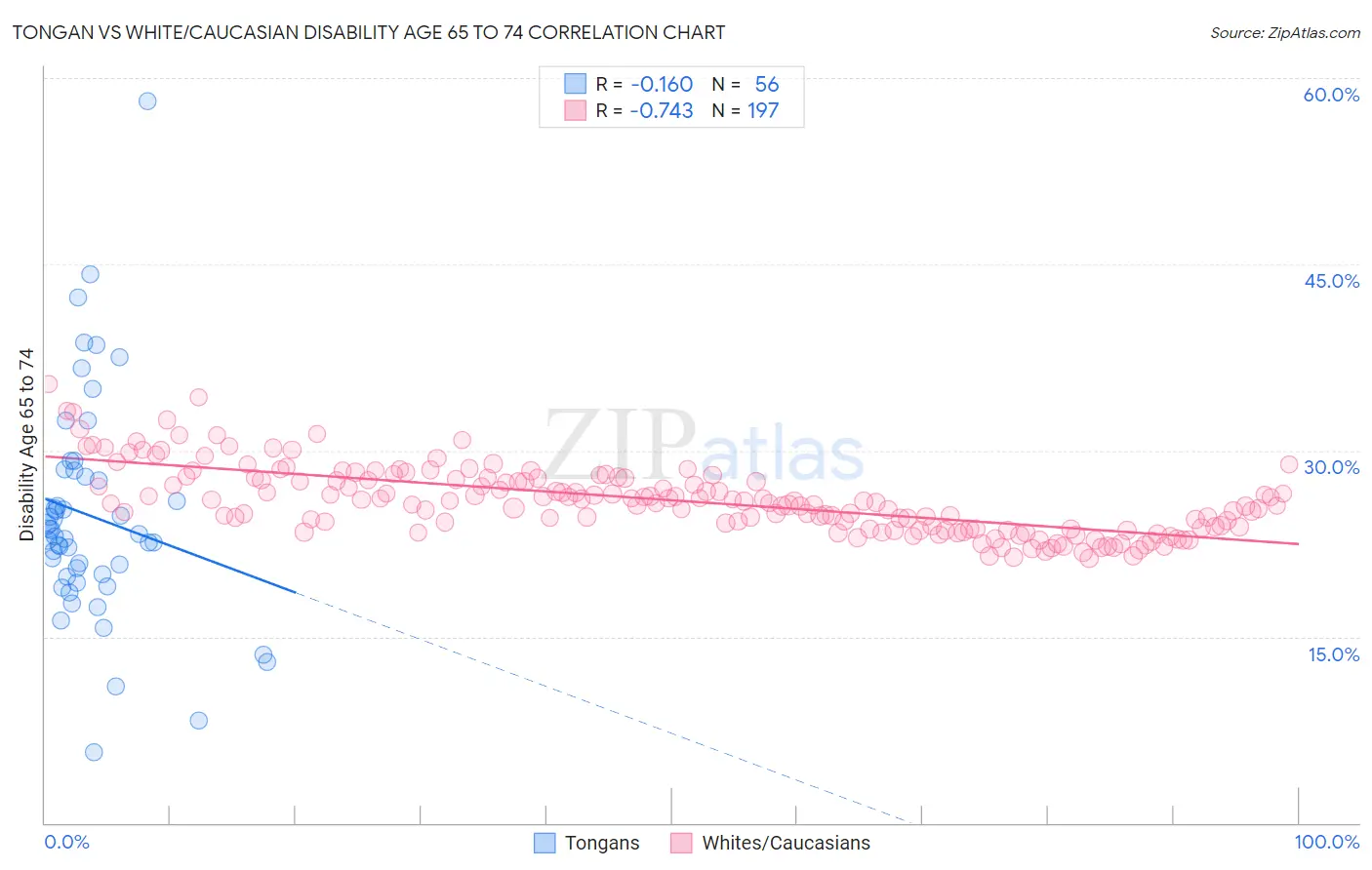 Tongan vs White/Caucasian Disability Age 65 to 74