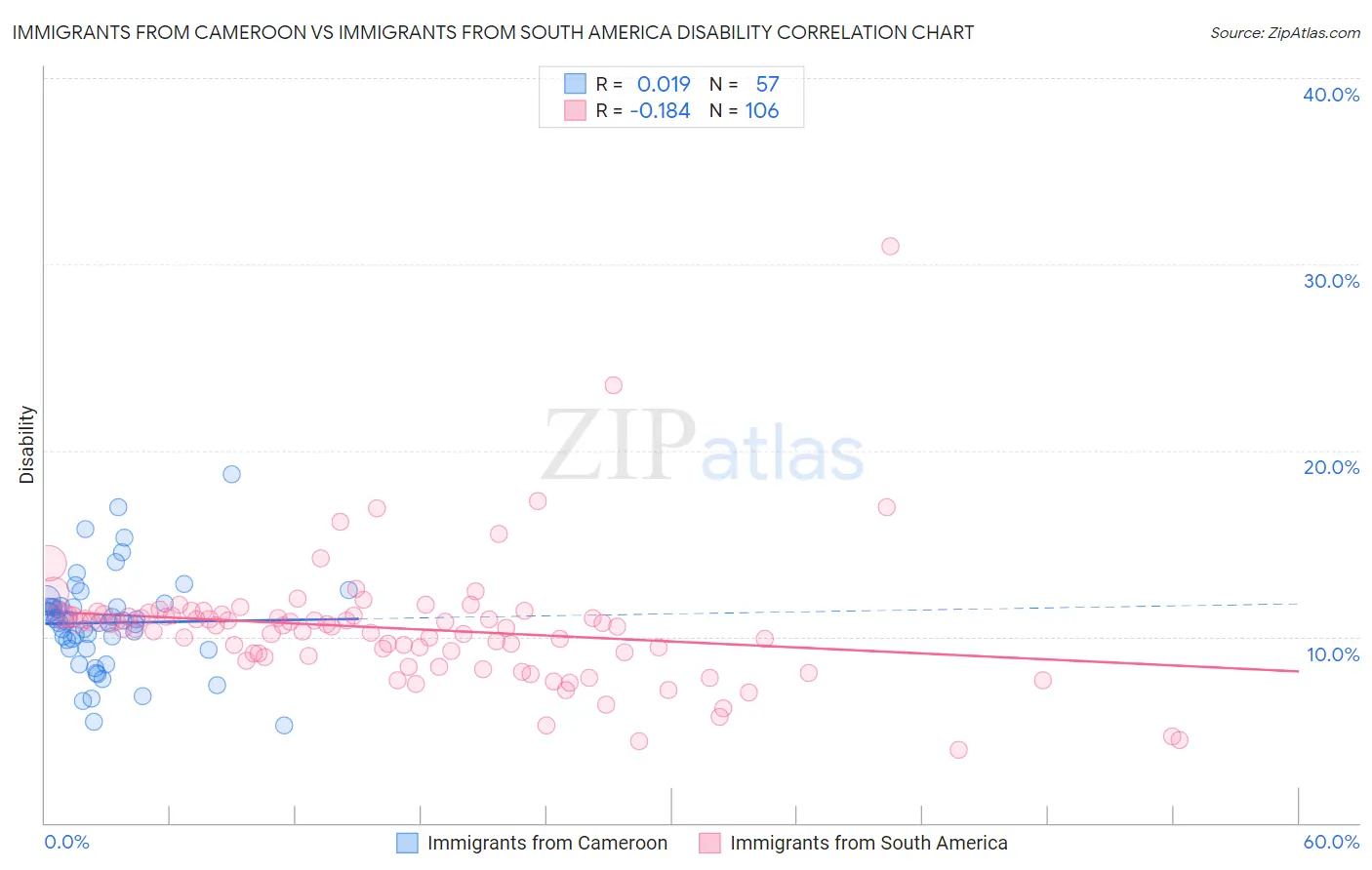 Immigrants from Cameroon vs Immigrants from South America Disability