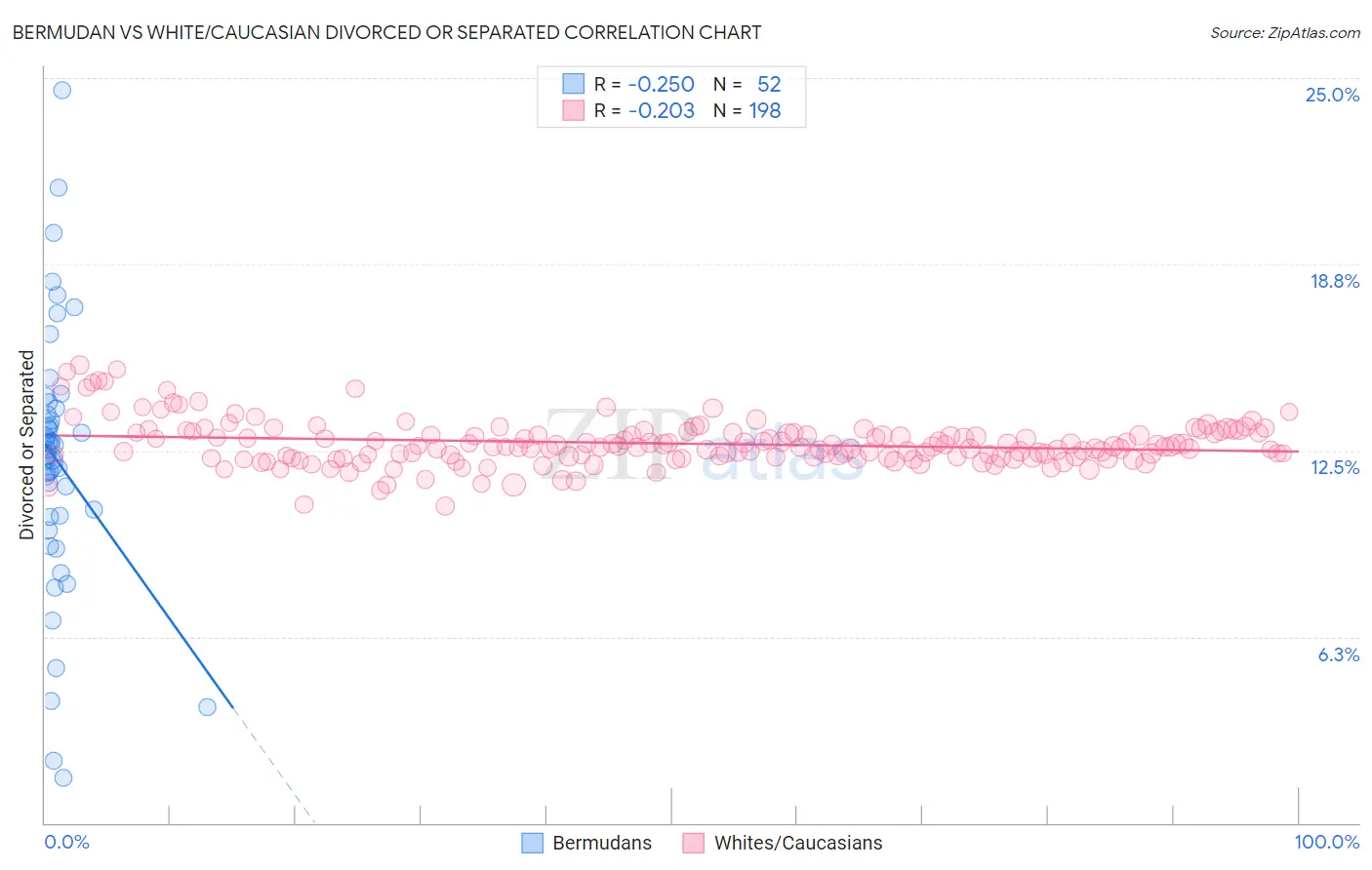 Bermudan vs White/Caucasian Divorced or Separated