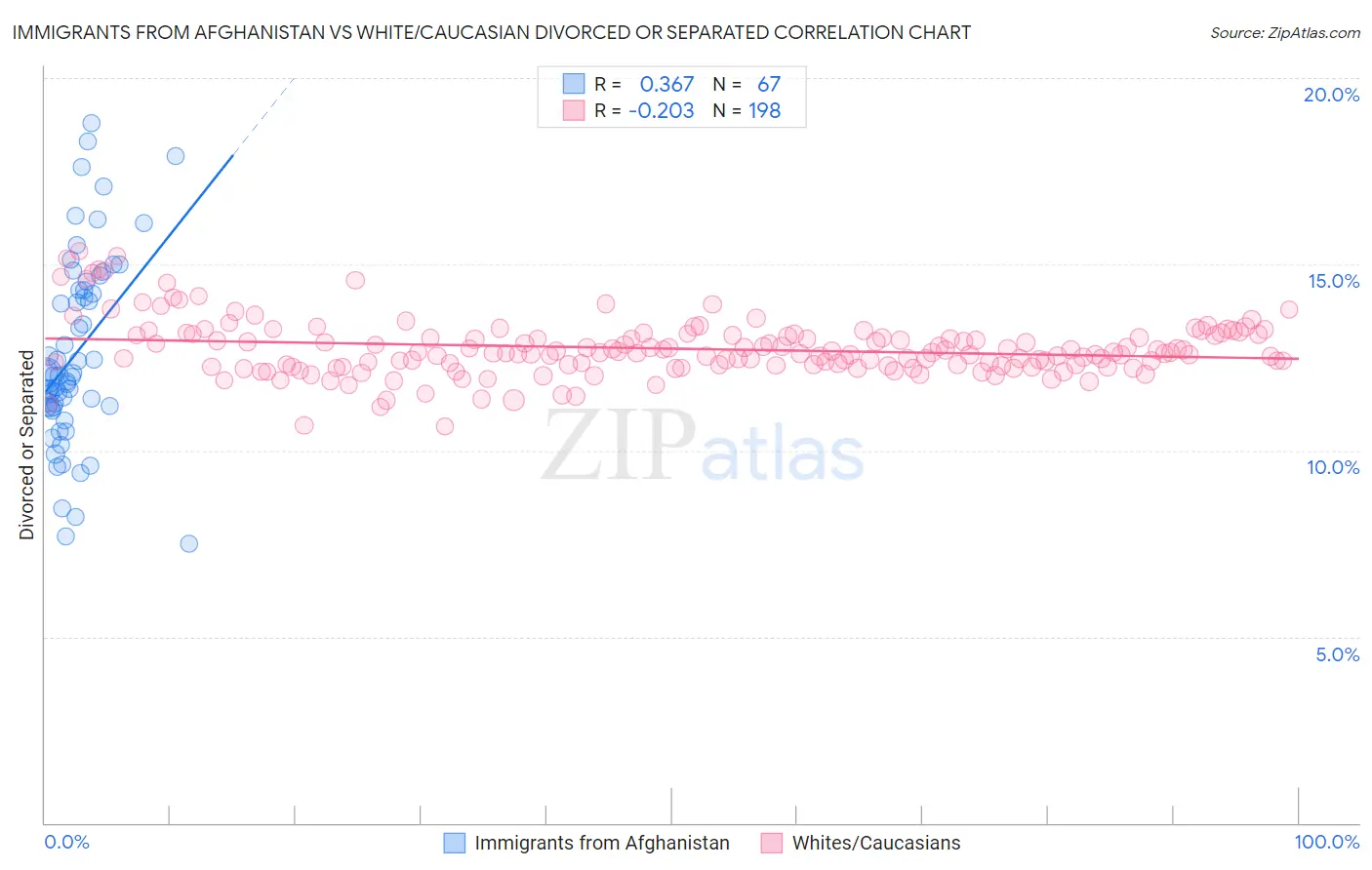 Immigrants from Afghanistan vs White/Caucasian Divorced or Separated