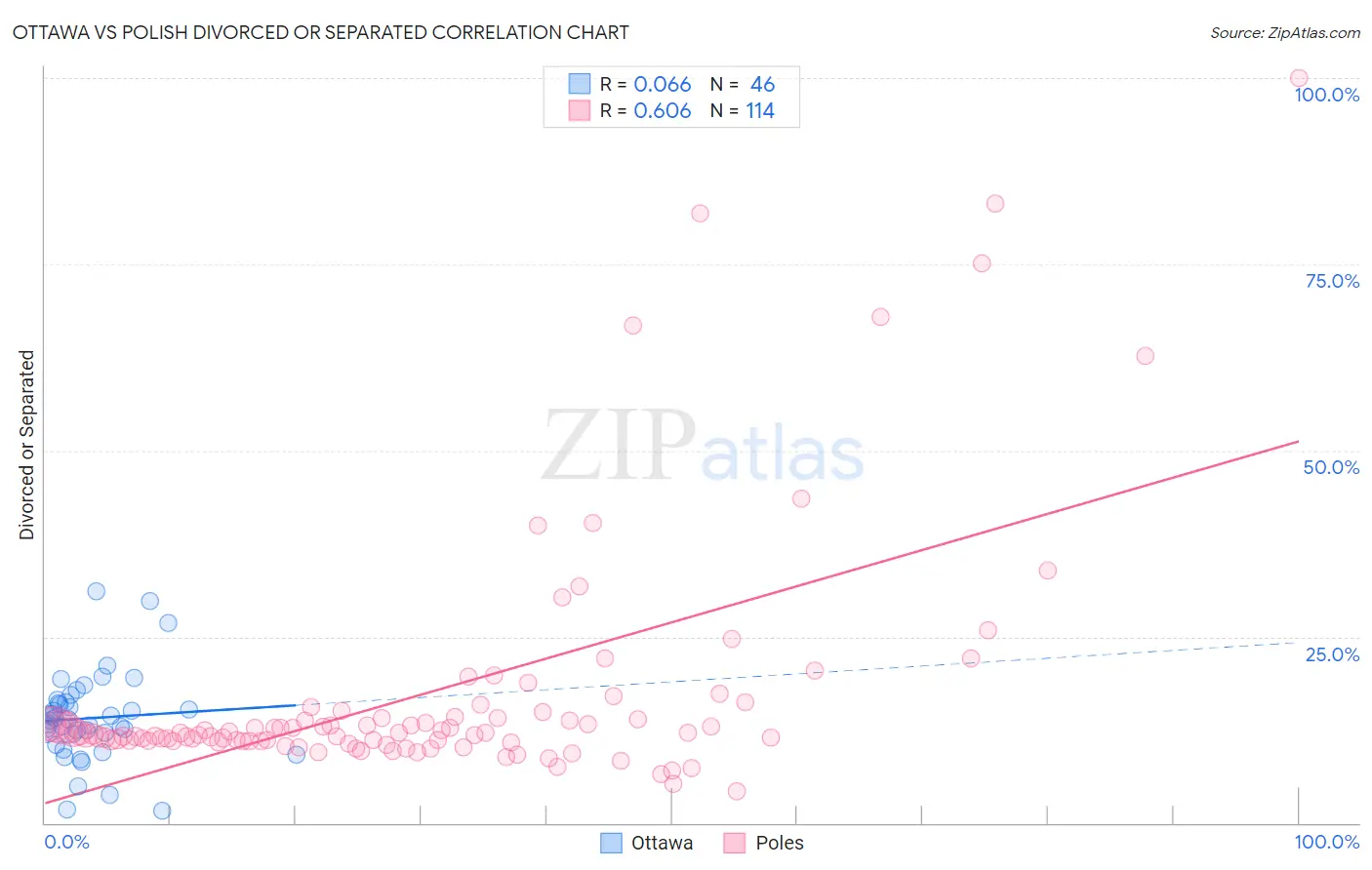 Ottawa vs Polish Divorced or Separated