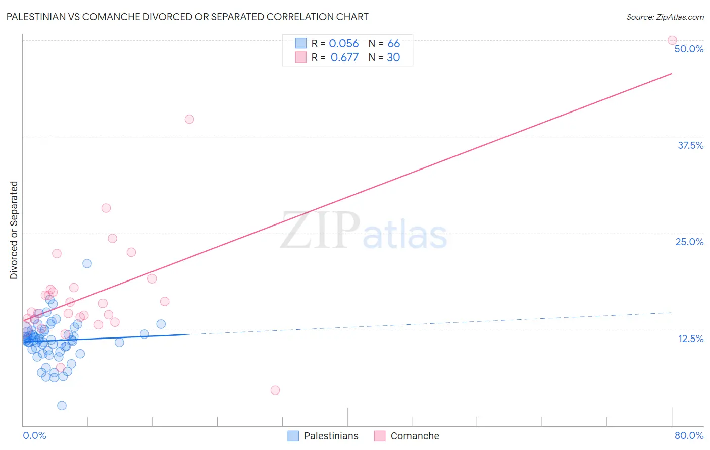 Palestinian vs Comanche Divorced or Separated