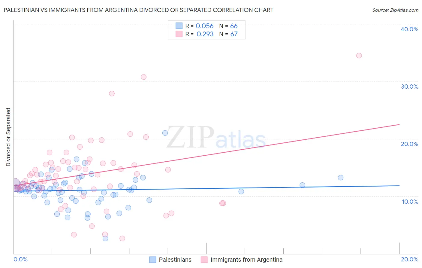 Palestinian vs Immigrants from Argentina Divorced or Separated