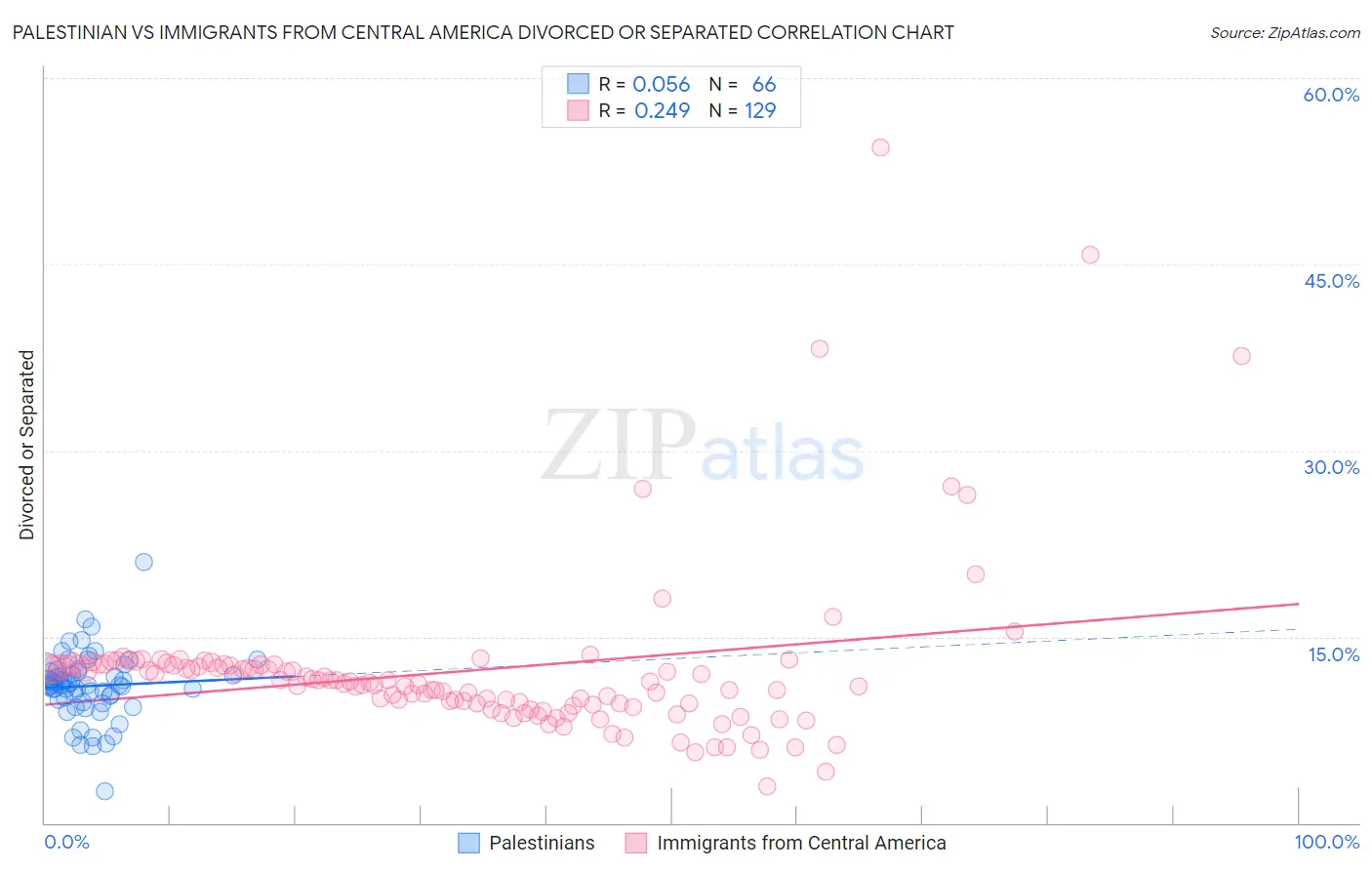 Palestinian vs Immigrants from Central America Divorced or Separated