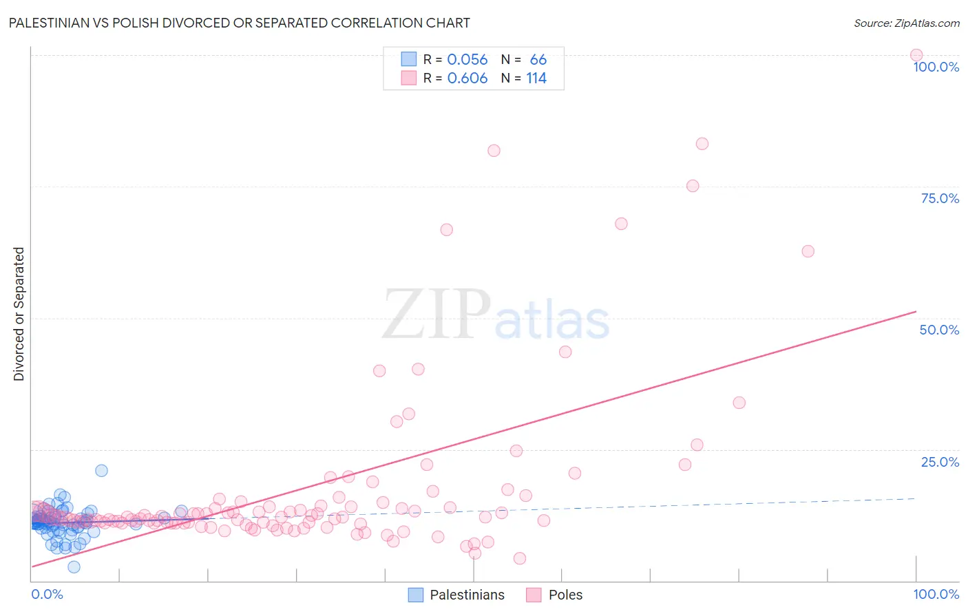 Palestinian vs Polish Divorced or Separated