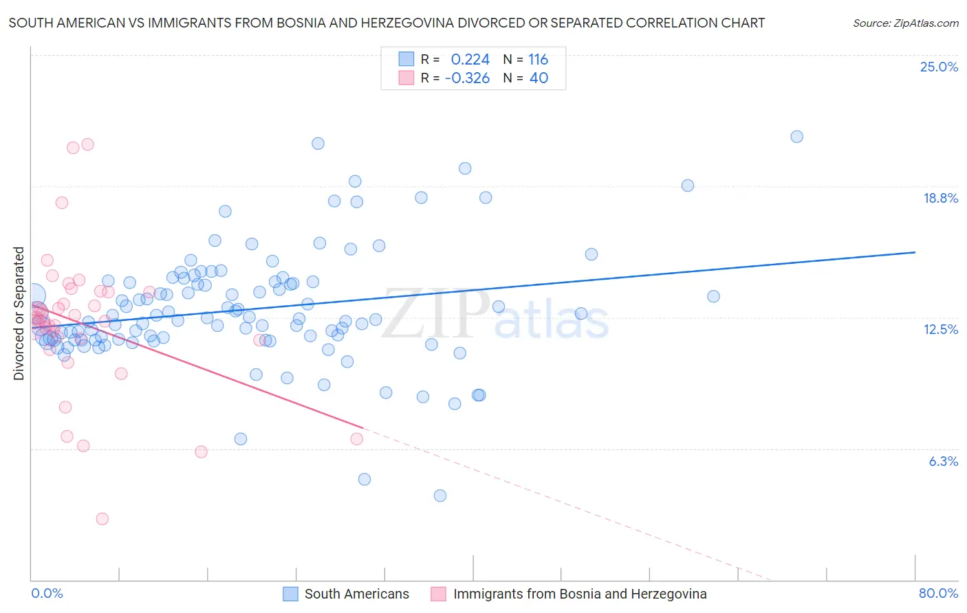 South American vs Immigrants from Bosnia and Herzegovina Divorced or Separated