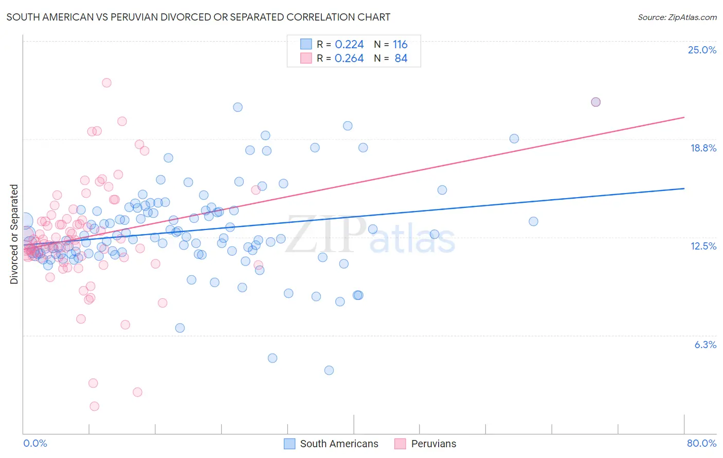 South American vs Peruvian Divorced or Separated