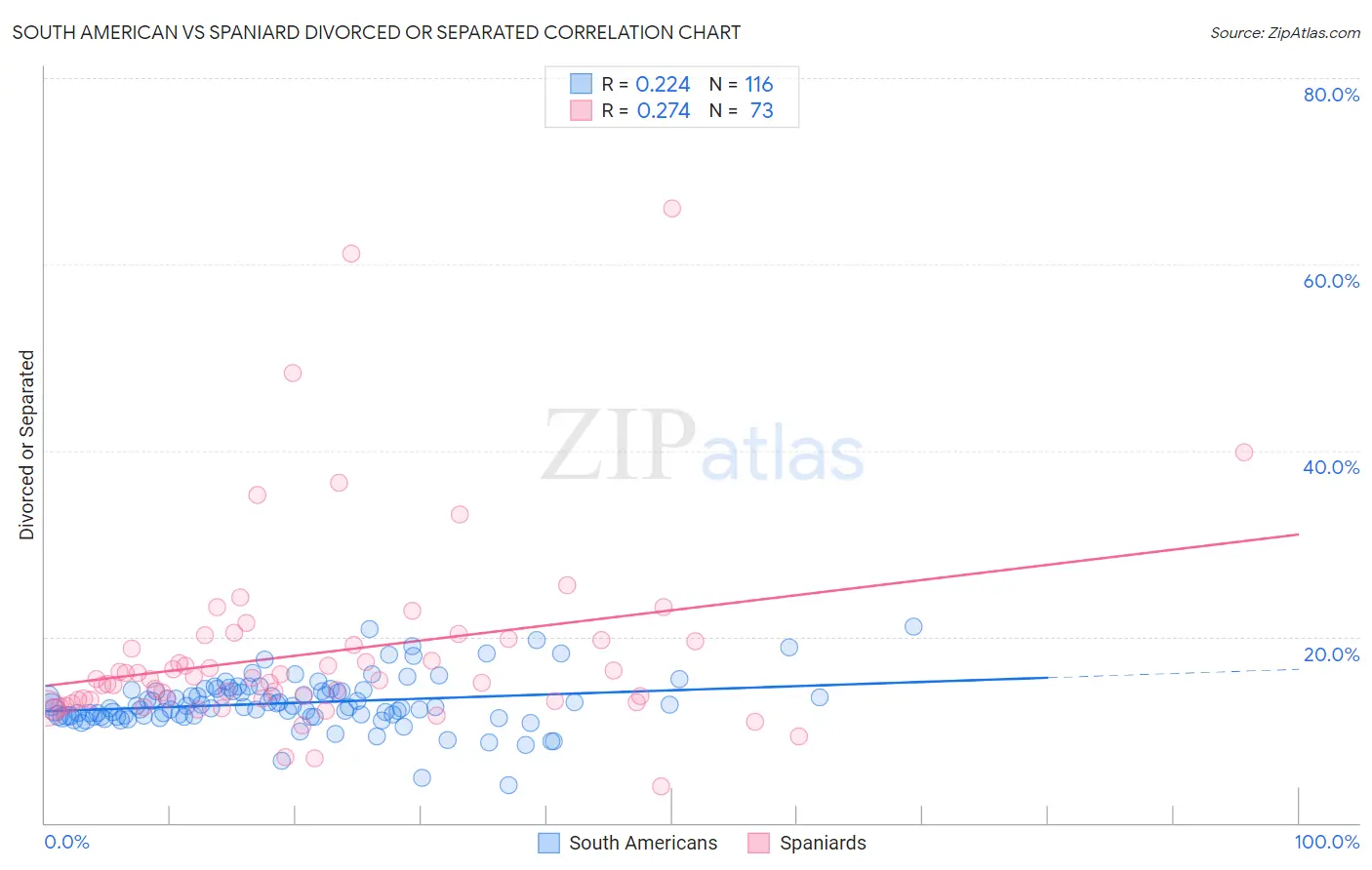 South American vs Spaniard Divorced or Separated