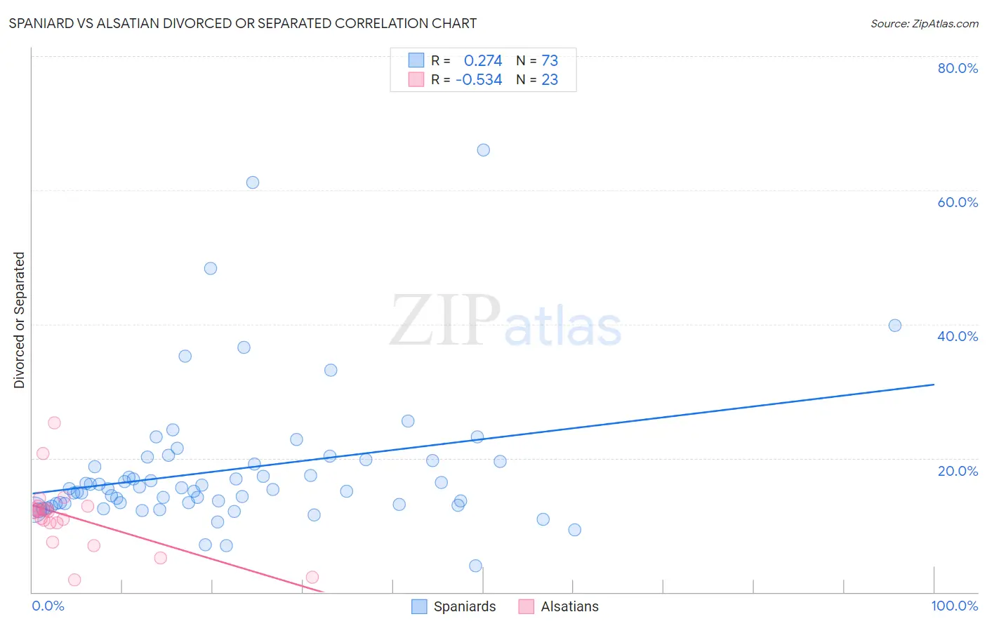 Spaniard vs Alsatian Divorced or Separated