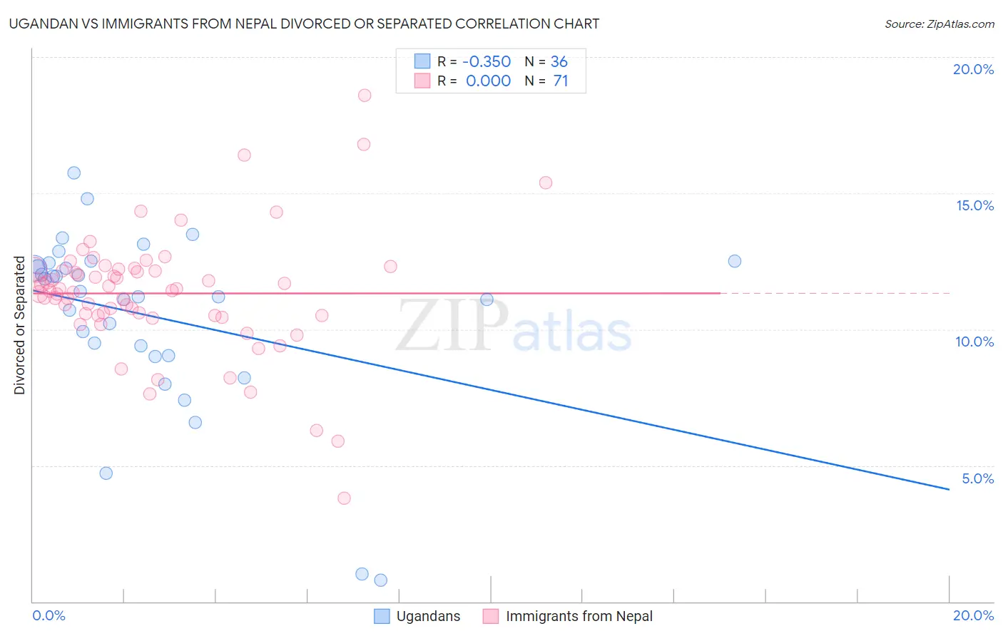 Ugandan vs Immigrants from Nepal Divorced or Separated