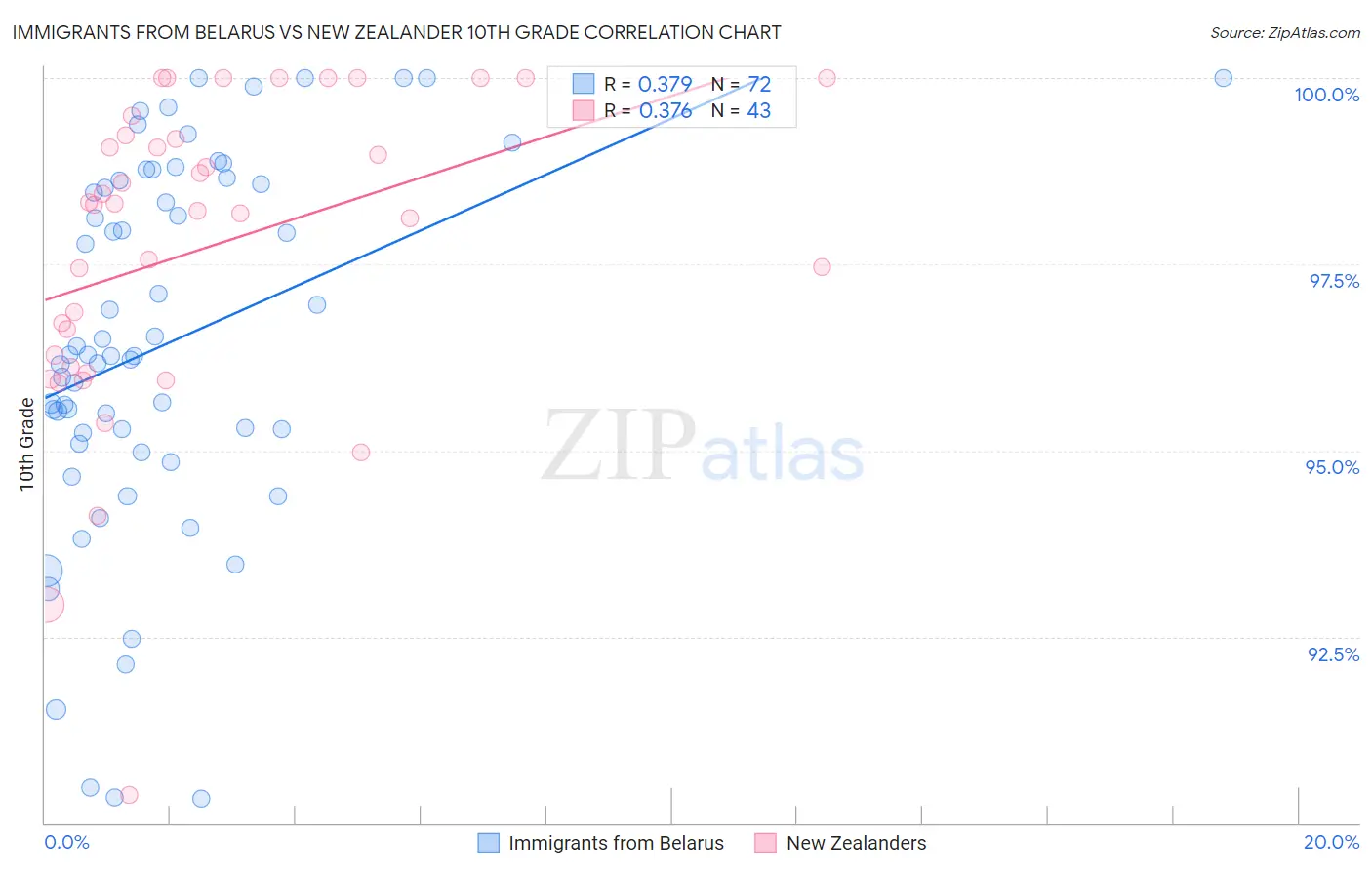 Immigrants from Belarus vs New Zealander 10th Grade