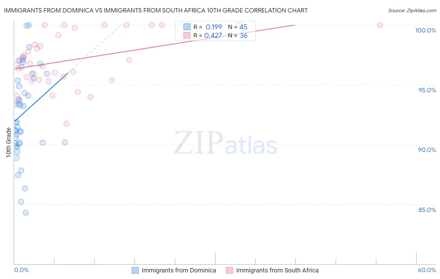 Immigrants from Dominica vs Immigrants from South Africa 10th Grade
