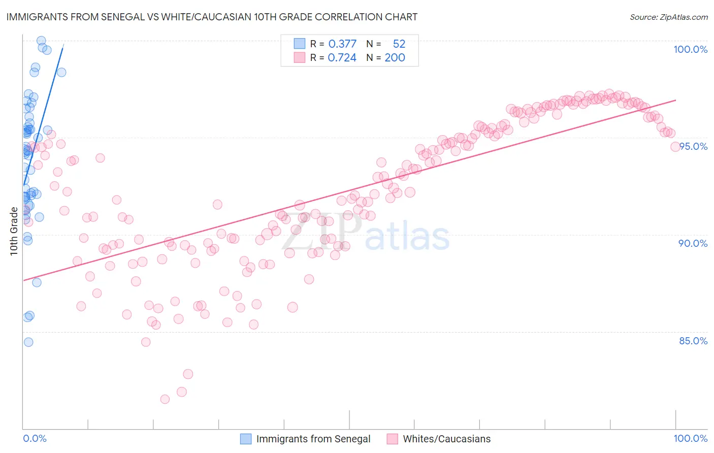 Immigrants from Senegal vs White/Caucasian 10th Grade