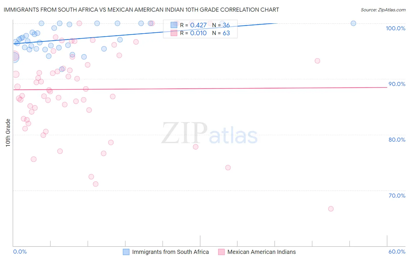 Immigrants from South Africa vs Mexican American Indian 10th Grade