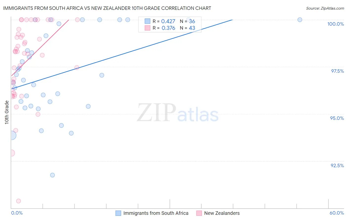 Immigrants from South Africa vs New Zealander 10th Grade