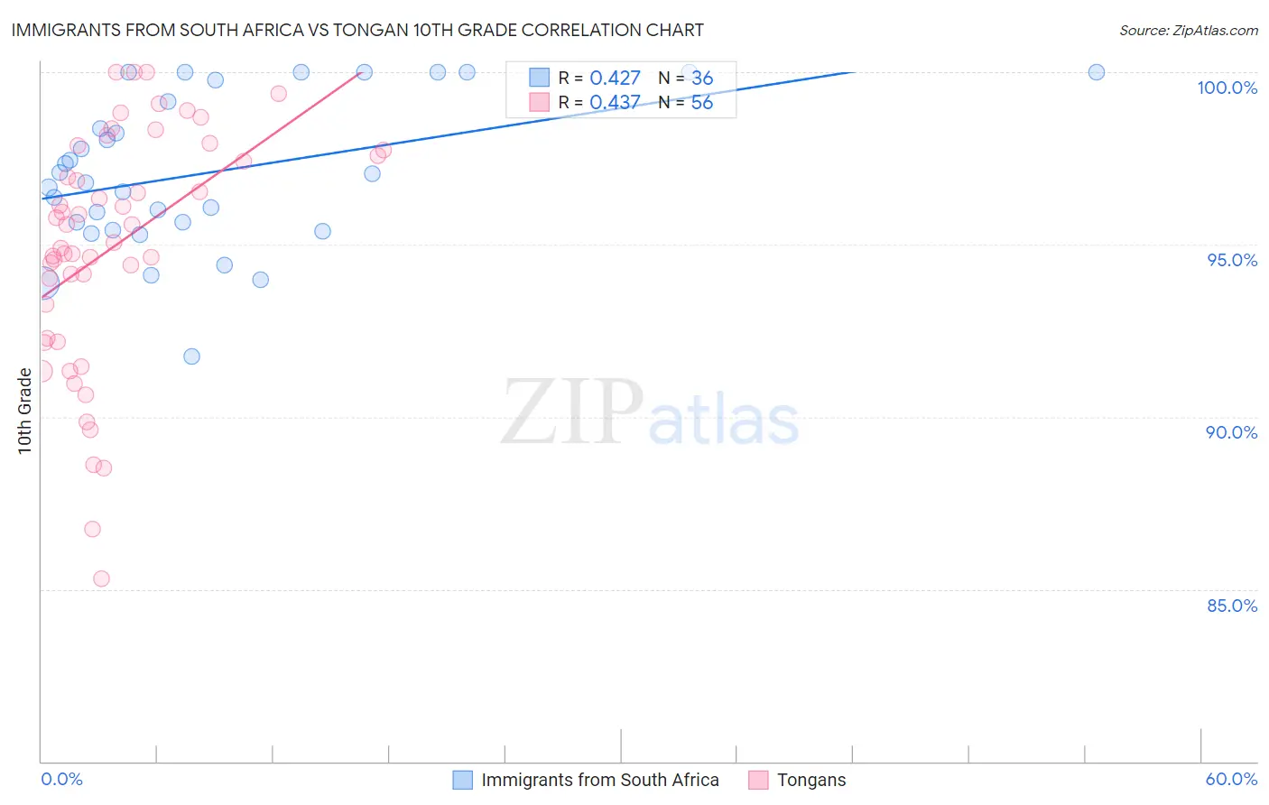 Immigrants from South Africa vs Tongan 10th Grade