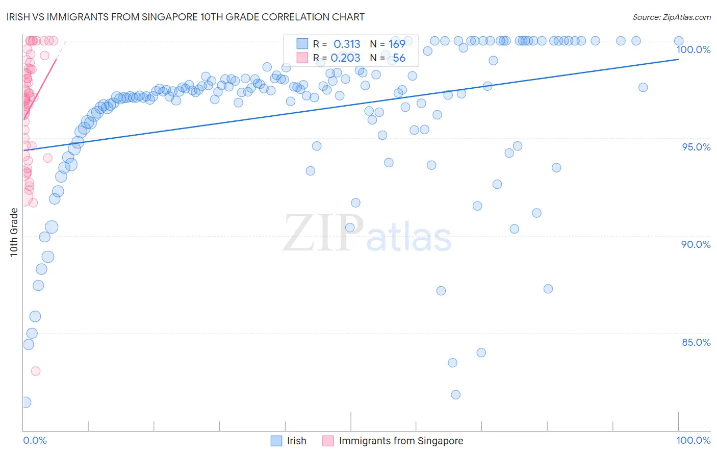 Irish vs Immigrants from Singapore 10th Grade
