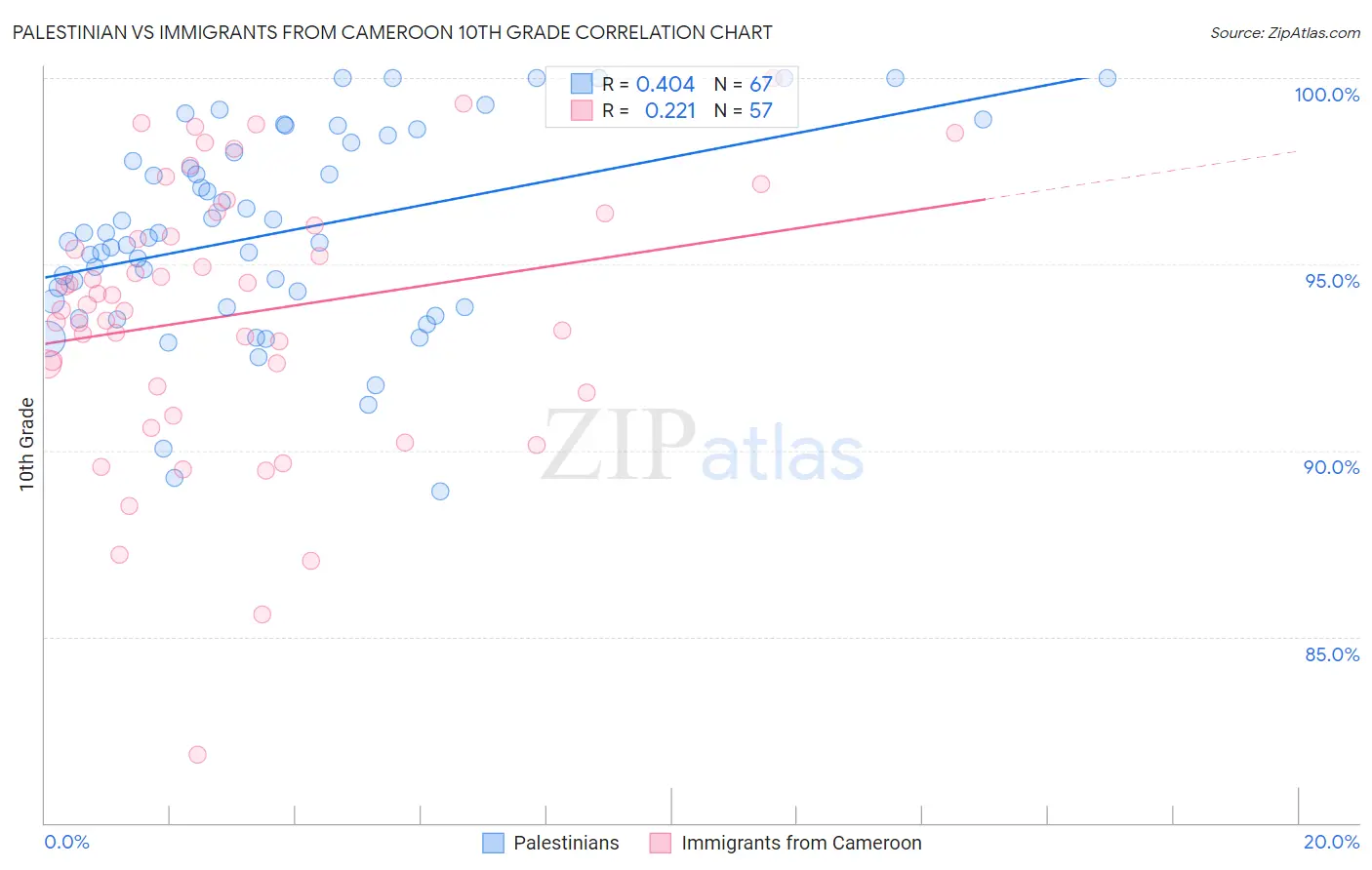 Palestinian vs Immigrants from Cameroon 10th Grade