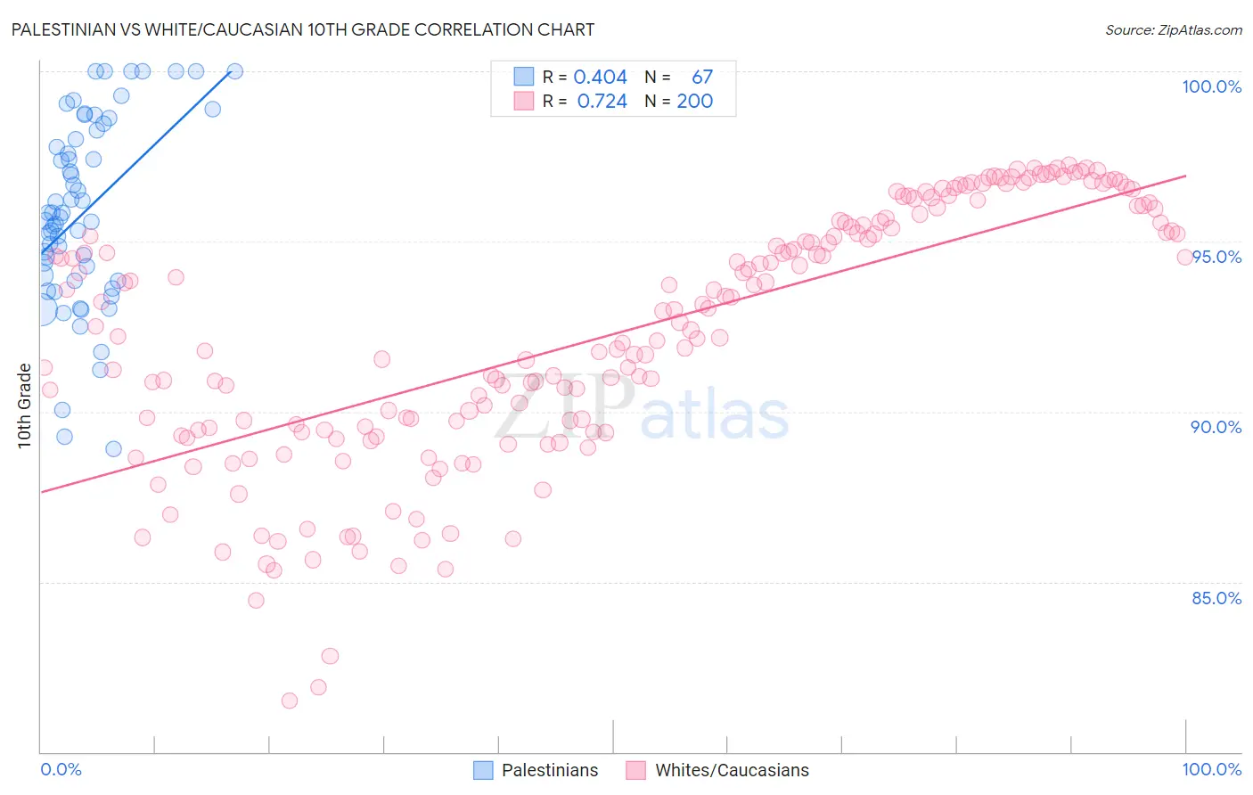 Palestinian vs White/Caucasian 10th Grade