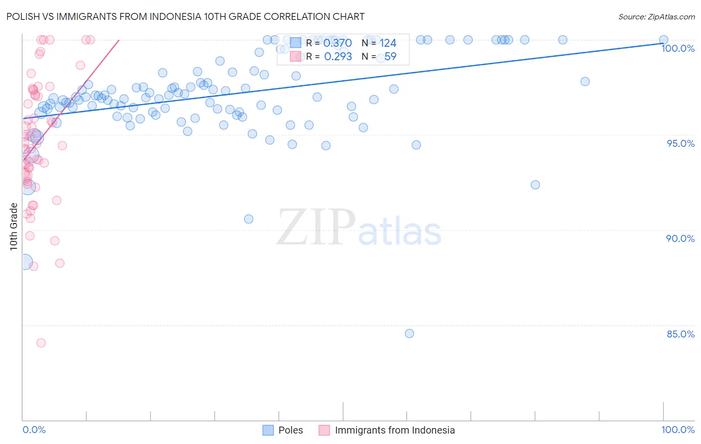 Polish vs Immigrants from Indonesia 10th Grade