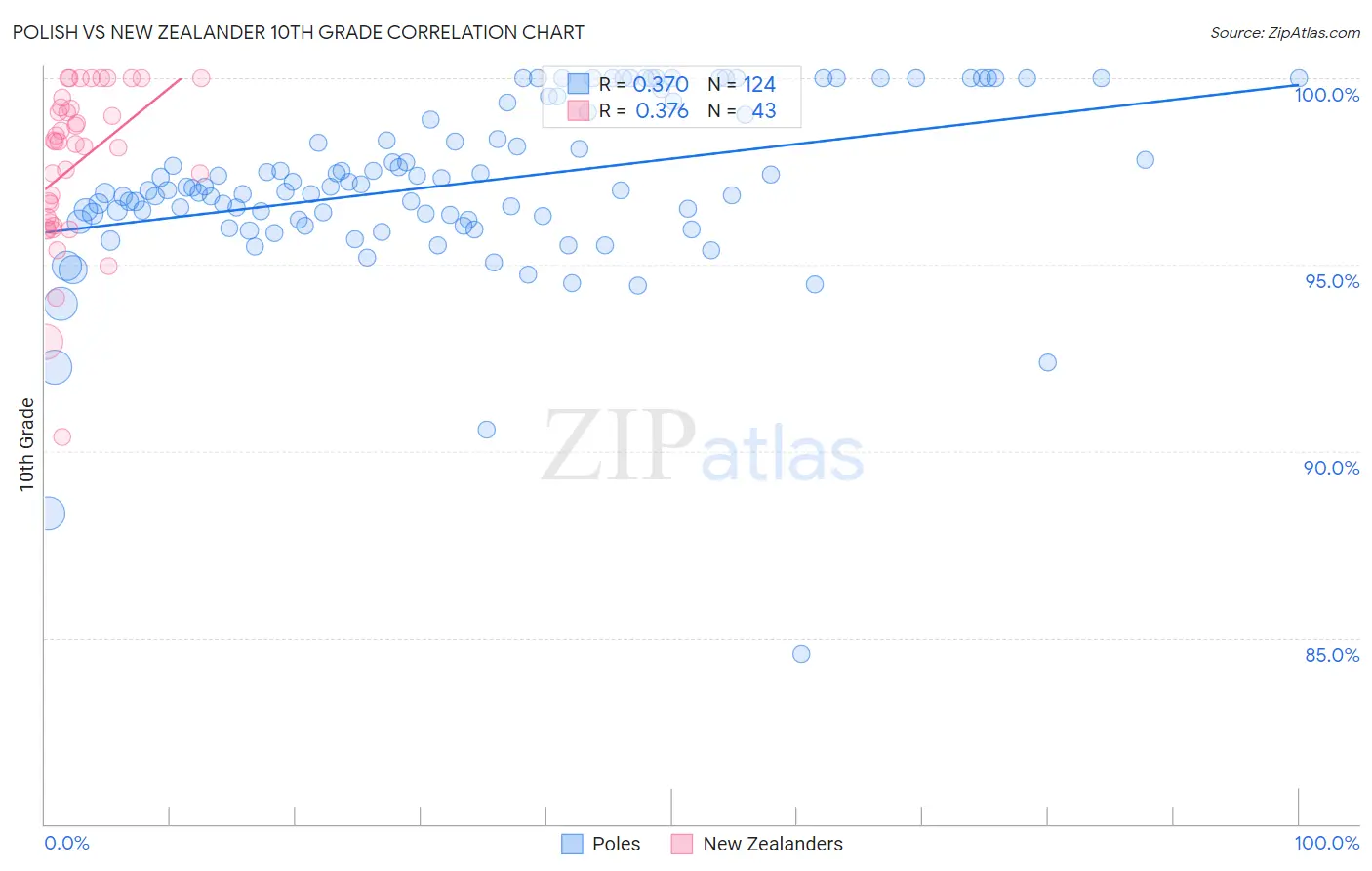 Polish vs New Zealander 10th Grade