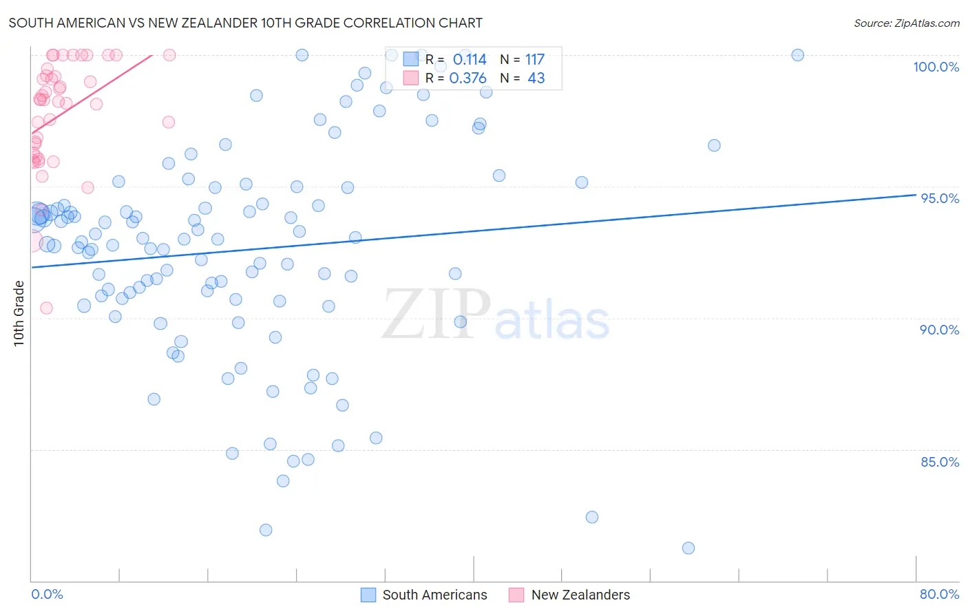 South American vs New Zealander 10th Grade