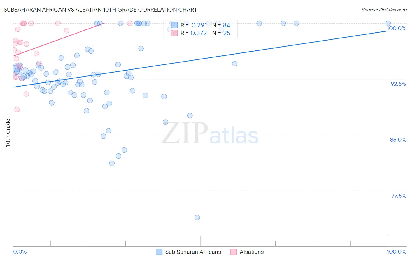 Subsaharan African vs Alsatian 10th Grade