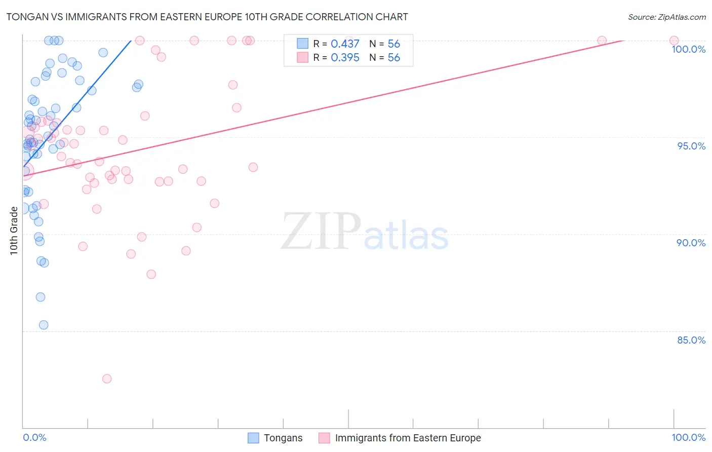 Tongan vs Immigrants from Eastern Europe 10th Grade