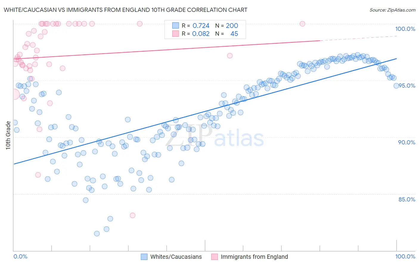 White/Caucasian vs Immigrants from England 10th Grade
