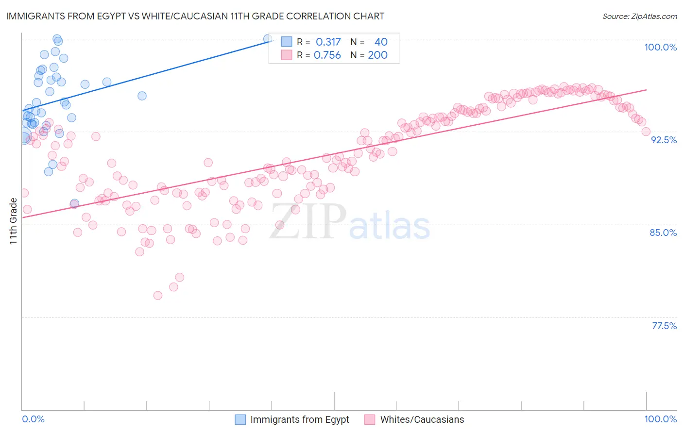 Immigrants from Egypt vs White/Caucasian 11th Grade